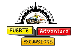 quad bike tours in fuerteventura